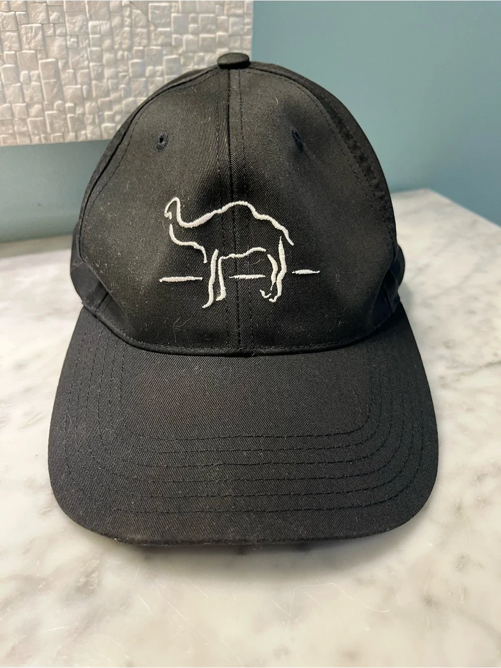 Men's Black Cap with White Camel Embroidery